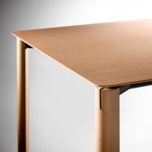 Mesa Laga Detalle
